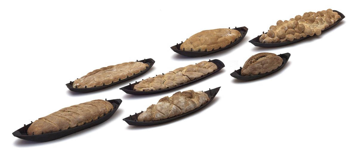 janos szurcsik missio 2010