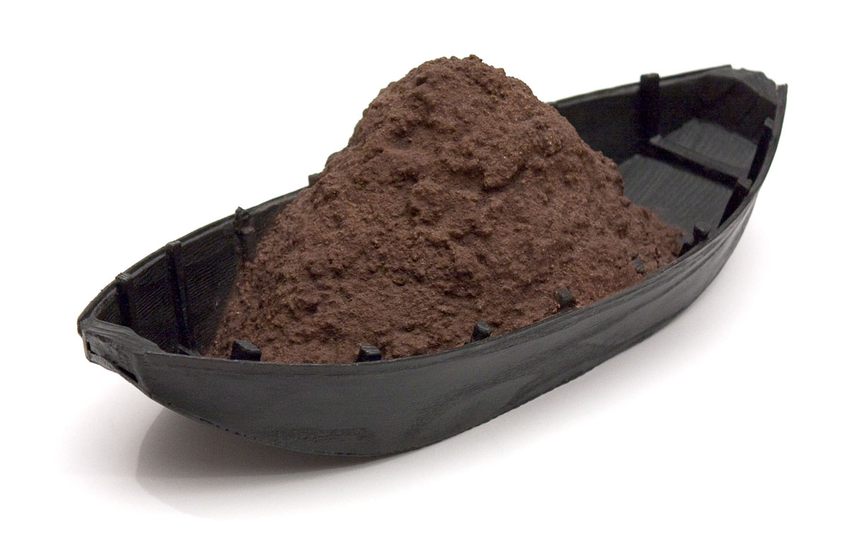 janos szurcsik promissio 2006